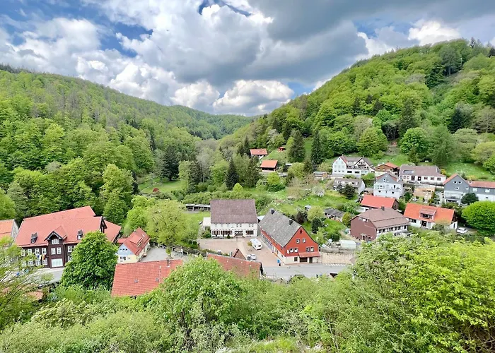 Vor lauter Bäumen B&B